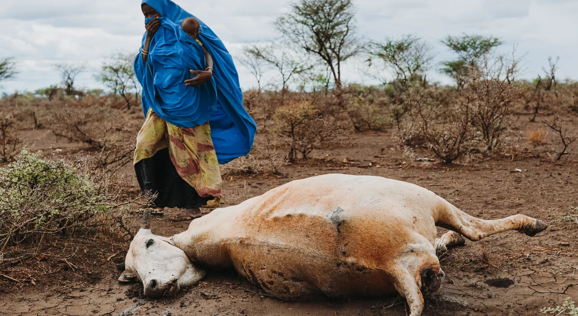 Vrouw in Ethiopie naast een dode koe