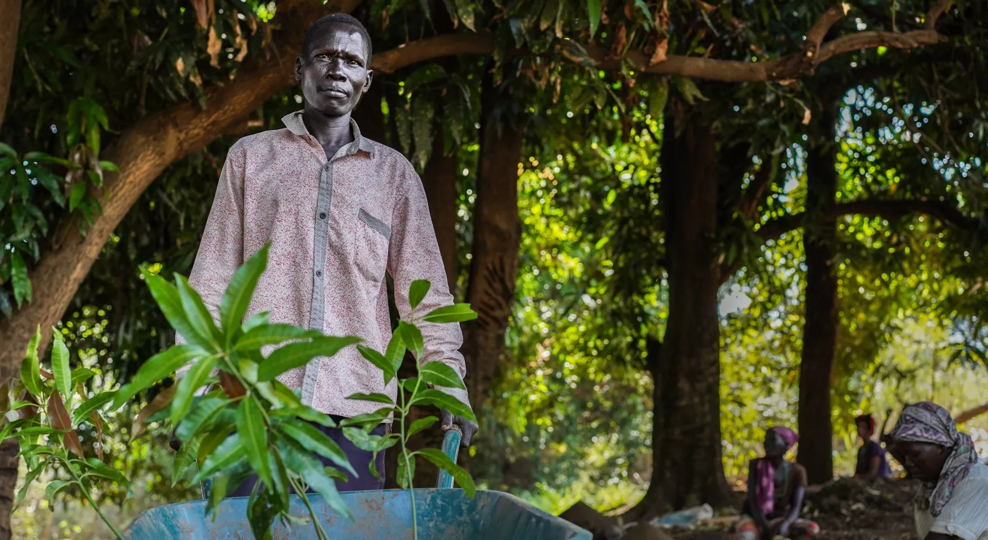 Compenseer CO2 als ondernemer met bomen in Ethiopië | ZOA