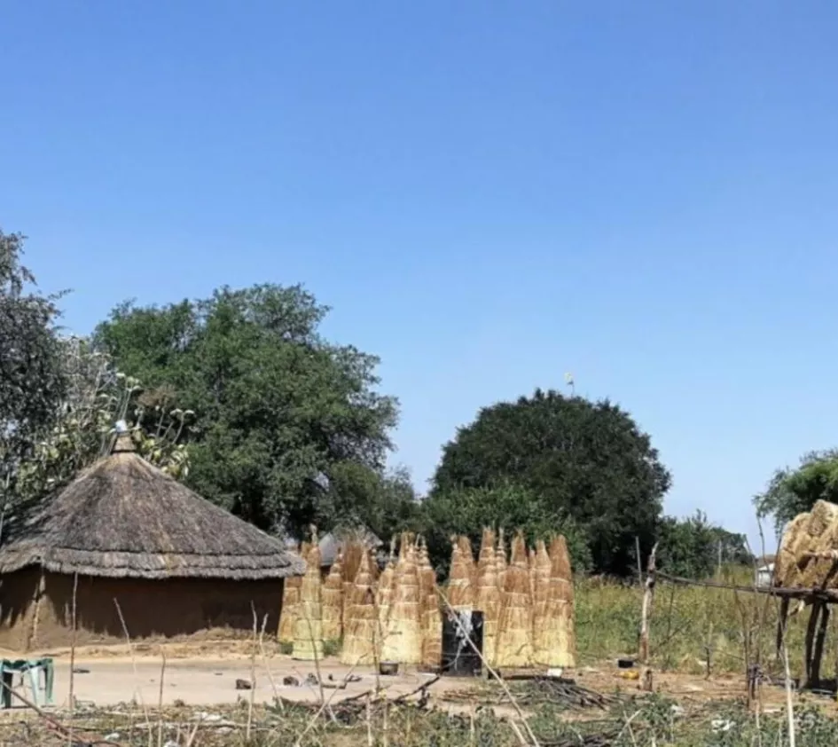 Houses in South Sudan