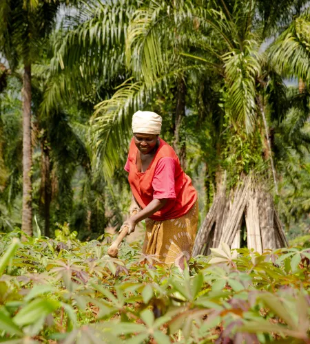 Een vrouw in Burundi bewerkt haar land | ZOA