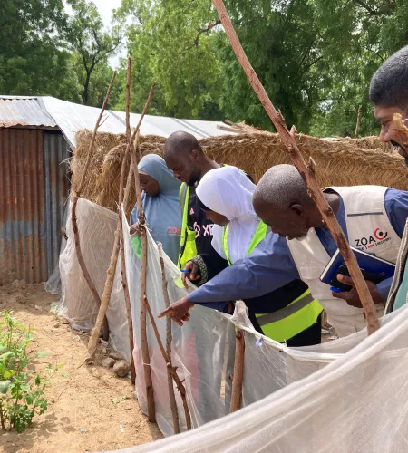 Bama kitchen gardens