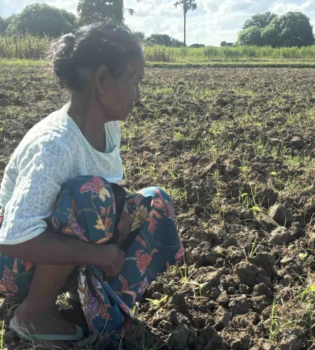 Daw Khin Nyein op haar land