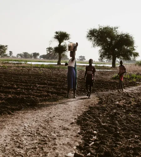 Kinderen lopen door een veld