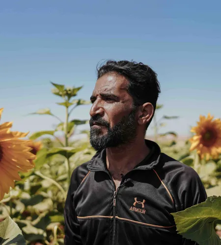 Mohammad in zijn zonnebloemenveld