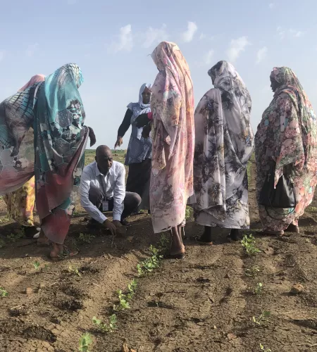 Mensen aan het werk op het land in Gedaref, Sudan