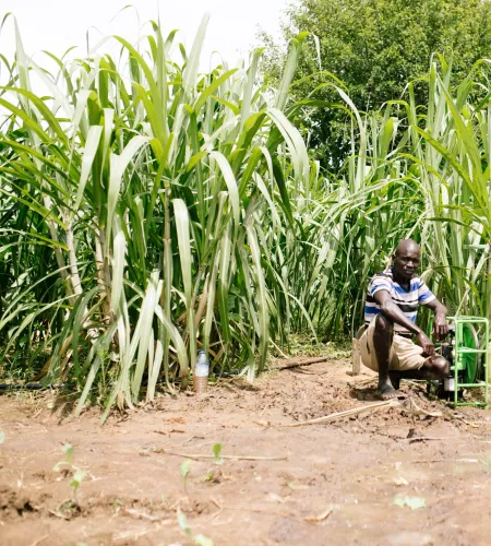 Solar panels in Uganda