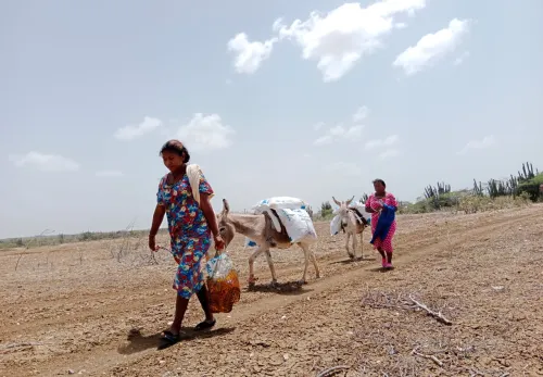 USAID project Colombia