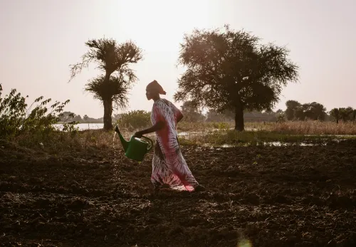 Een vrouw in Zuid-Sudan bewatert haar akker