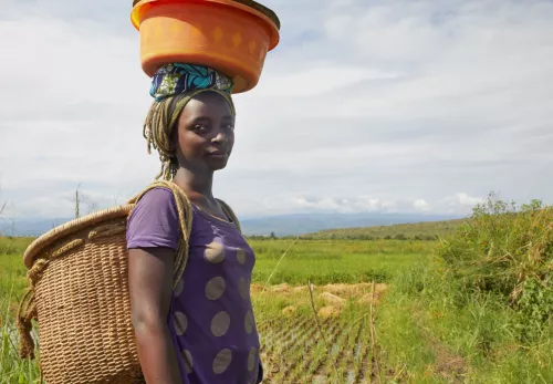 Moeders in Congo: vrouw voor haar veld